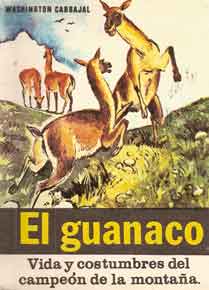 El guanaco. Vida y costumbres del campeón de la montaña
