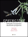 Sphingidae / Esfíngidos de Argentina