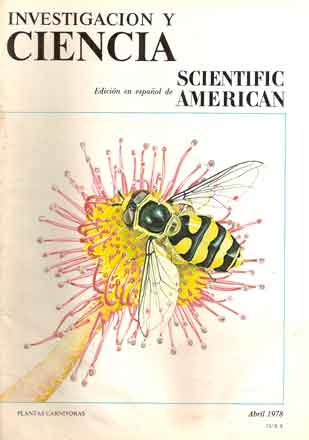 Investigación y Ciencia. Revista (varios numeros)