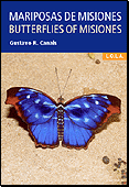 Mariposas de Misiones. Butterflies of Misiones